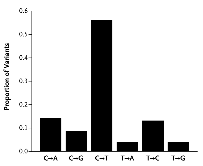 C to T transitions are the most common substitutions that occur with age. (Reproduced from Jaiswal et al. [182], figure2 c)