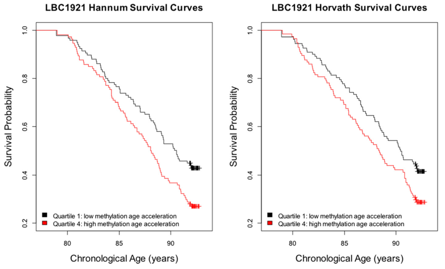 Survival probability by quartiles of \(\Delta_{Age}\) in LBC 1921 adjusted for sex, and chronological age. LBC = Lothian Birth Cohort. Using the Hannum and Horvath predictors’ values for \(\Delta_{Age}\). (Reproduced from [190] figure 3.)