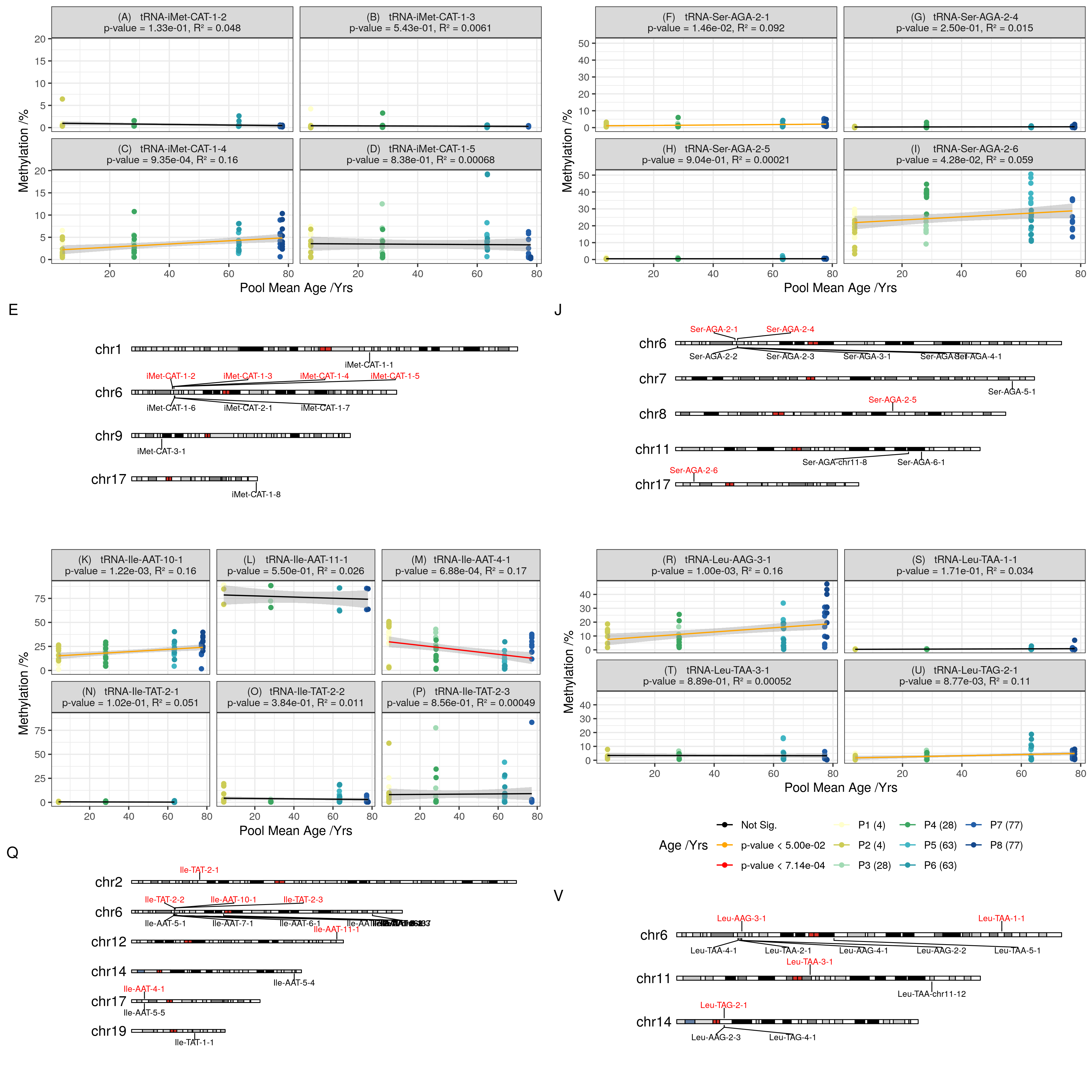 Combined CpGs within tRNA loci results (experiment-wide Bonferroni p = \(7.14 \times 10^{-4}\)); (A-D) Comparison of select tRNA-iMet-CAT loci: Hypermethylation is specific to iMet-CAT-1-4 (c) not other isodecoders (A, B, & D); (F-I) Comparison of select tRNA-Ser-AGA loci: Hypermethylation is specific to Ser-AGA-2-6 A (viii) and to a lesser extent Ser-AGA-2-1 (F), whilst not other isodecoders (G, H); (K-P) Comparison of select tRNA-Ile loci: Hypermethylation is specific to Ile-AAT-10-1 (K), Ile-AAT-4-1 (M) displays hypomethylation contrary to previous MeDIP findings, Ile-TAT-2-2 & 2-3 lack hypermethylation (previously non-significant in blood-corrected MeDIP, although significant in uncorrected), whilst no change in Ile-AAT-11-1 (L) and Ile-TAT-2-1 (N); (R-U) Comparison of select tRNA-Leu loci: Hypermethylation in Leu-AAG-3-1 (R) consistent with 450k and Leu-TAG-2-1 (U) consistent with MeDIP, whilst no change in Leu-TAA-1-1 (S) & Leu-TAA-3-1 (T).