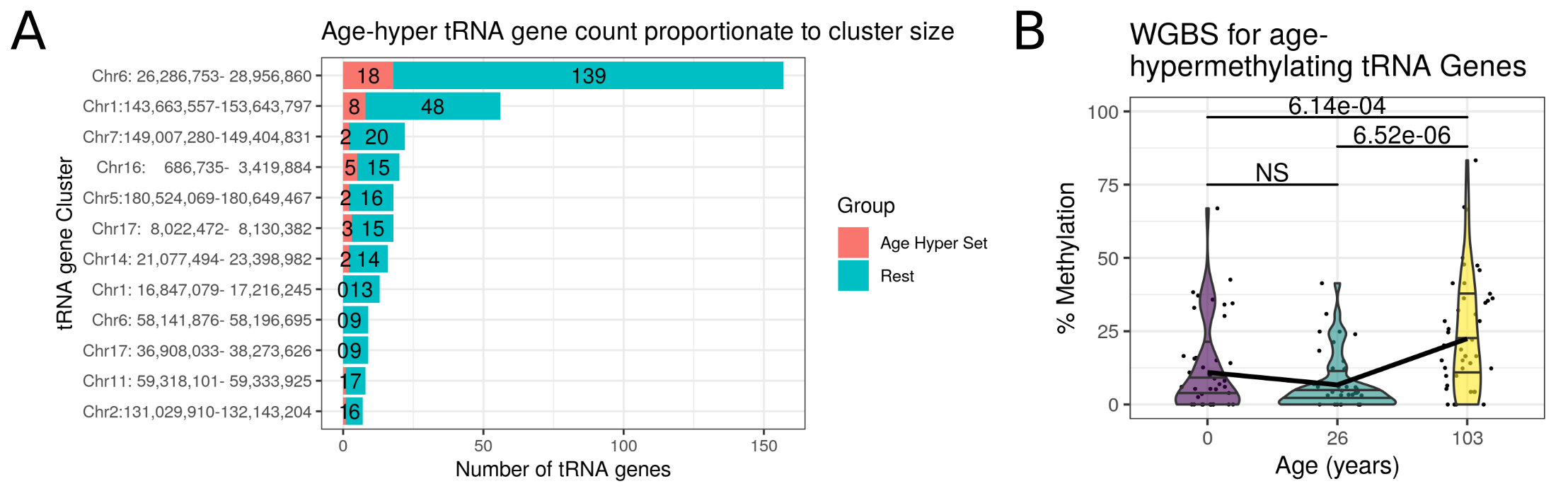 A) Almost all tRNA genes (42/44, counts shown in red) study-wide significant in the MeDIP batch corrected age model, and all of the genome-wide significant and blood-cell type corrected sets of tRNA genes reside in one of 12 major tRNA gene clusters. (Defined by joining all tRNAs within 5Mb of one another and requiring at least 5 tRNA genes per cluster with a density of at least 5 tRNA genes per Mb). B) Available study-wide significant (SWS) tRNA genes (n = 14) are more methylated in a centenarian than in a neonate or a 26 year old. Whole Genome Bisulfite Sequencing Data in a newborn, as adult and a centenarian. Each point represents the methylation level at an individual CpG within a tRNA gene.