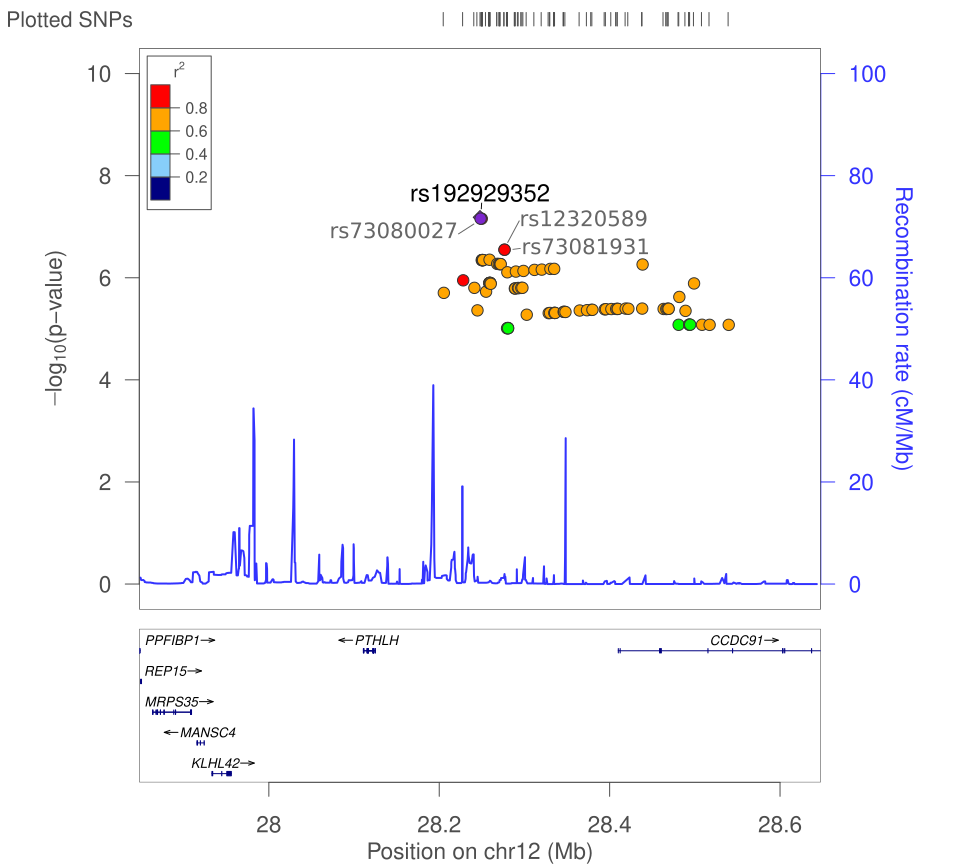 Top four shared SNPs are all located just upstream of the the CCDC91 gene. Adapted from the output of LocusZoom [450].