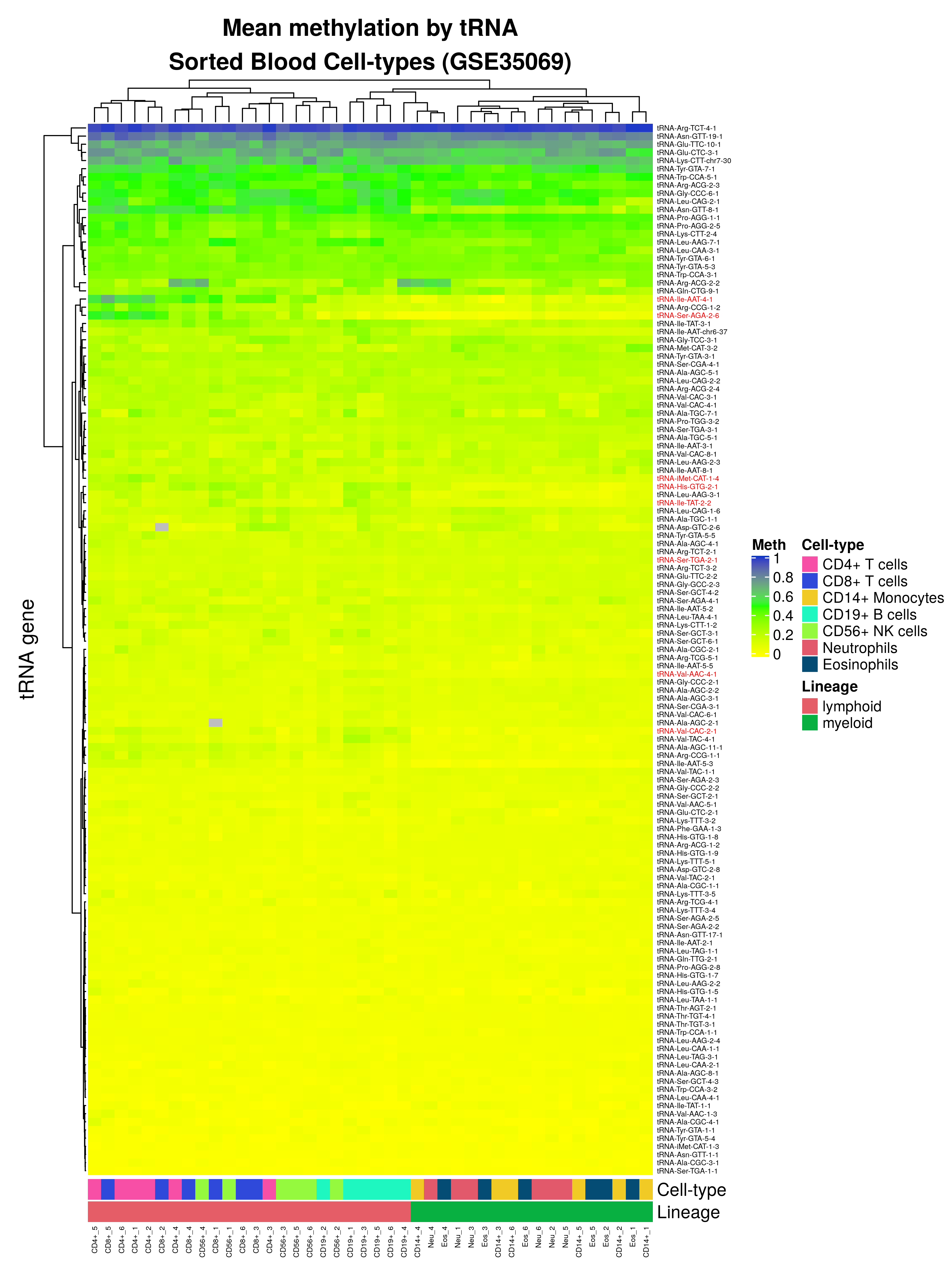 Heatmap Mean Methylation of probes covering each tRNA in 7 cell-type fractions from 6 Male individuals. Showing all 150 tRNAs covered by 213 probes on the Illumina 450k array. Data from GSE35069 [369] downloaded using GEOquery [370]. Generated with the ComplexHeatmap R package [379].