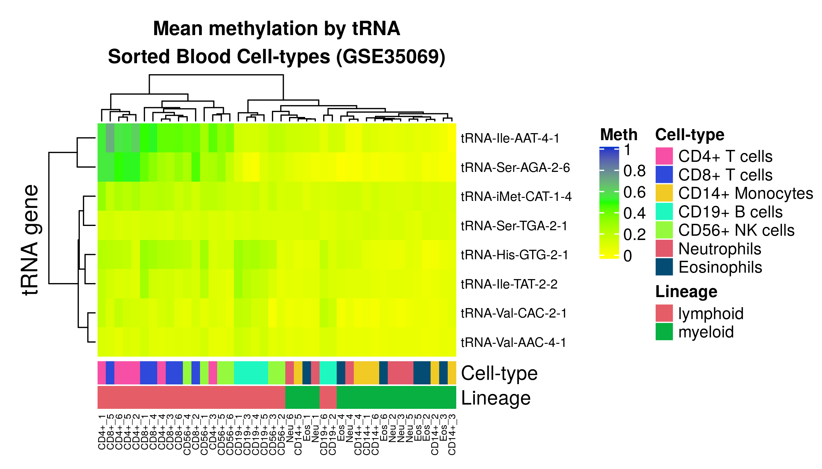 Heatmap [379] of mean methylation of probes covering each tRNA in 7 cell-type fractions from 6 Male individuals. Data from GSE35069 [369]. Of the 16 study-wide significant hypermethylating tRNAs, 8 are covered by this dataset.