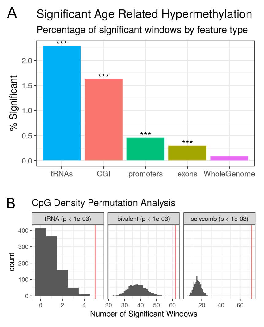 A) tRNA genes are enriched for age-related hypermethylation compared to the genomic background, (Fisher’s Exact Test p < \(1.05\times10^{-27}\), n = 3001). B) tRNA genes show more significant hypermethylations than CpG Density matched permutations. Each permutation represented a random set of windows matching the CpG density of the functional unit (bivalent domains, polycomb group target promoters & the tRNA genes). These are subsequently assessed for signficant age-related DNAm changes (see Methods 4.4.3.3). The red line is the observed number of significant loci.