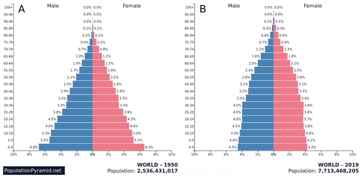 The Population is Getting Older Population pyramids for global population for A) 1950 and B) 2019 from populationpyramid.net [7]